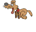 wp0c468ce6.gif