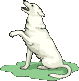 wp3c221e08.gif