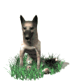 wp7e9bfa5d.gif